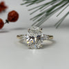 Bostonian Jenny - Classic Engagement Ring